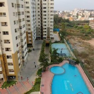 Oceans Greendale -  Skating 2 batches