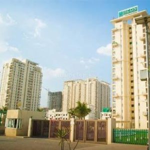 Icon North -  Skating 2 batch’s