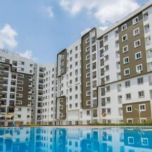 Bren Avalon -  Skating 1 batch’s